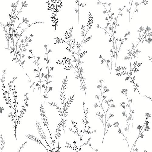 York Wallcoverings FH4026 Wildflower Sprigs Wallpaper Black/White New