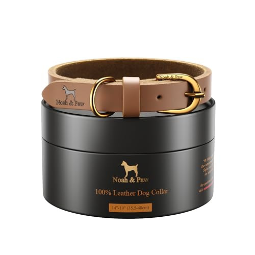 NOAH & PAW DOG COLLAR FOR MEDIUM DOGS, GENUINE LEATHER MEDIUM DOG COLLAR