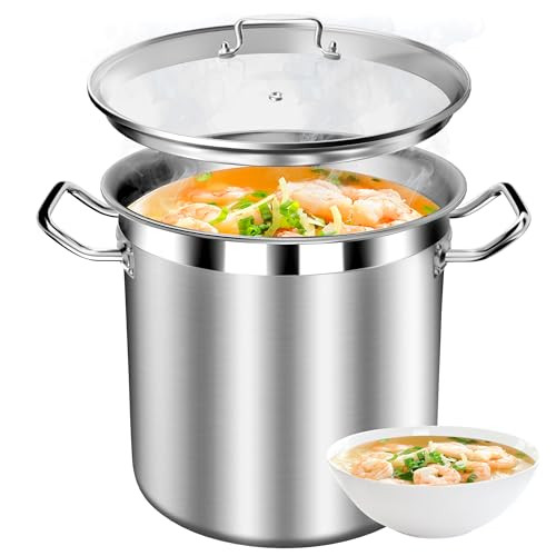 20 Quart Stock Pot with Glass Lid Commercial Grade Heavy-Duty Induction New