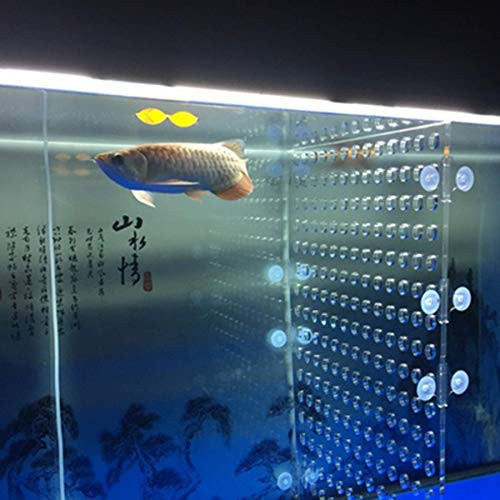 22.8" x 22.8" Aquarium Fish Tank 120 Gallon Acrylic Divider B07BB3C8Y8 - NEW New