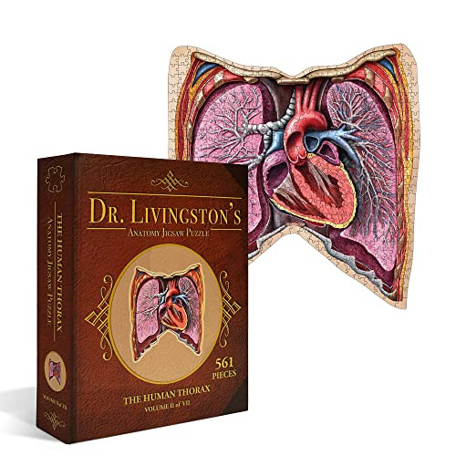 Human Thorax Anatomy Puzzle - Adult Jigsaw Puzzles Unique Gifts for Kids New