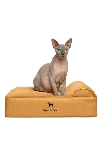 NOAH & PAW Small Dog Bed, Orthopedic Eggshell Memory Foam, 20x15x6.5 Inch - Tan