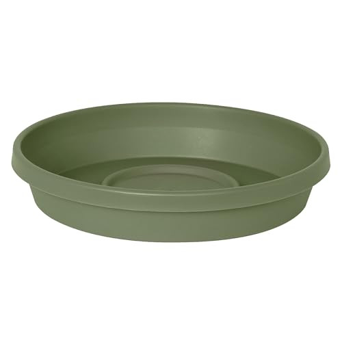Bloem Terratray 2.7"H x 16"Dia. Resin Traditional Thyme Green Tray B002HJBNJY New