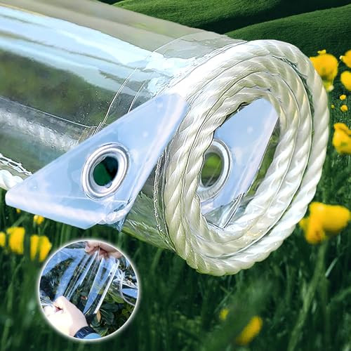 RFDMXC 10ftx10ft Thicken Transparent Tarp Garden Rainproof Clear Poly Tarp New