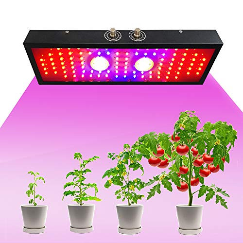 JINQIAOYI LED Grow Light (2000W) Veg and Flower Full Spectrum - Black