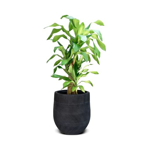 Elly Décor 12 inch Conic fiberstone Planter 11"x12" B09QBQXMXY - Stripes, Gray