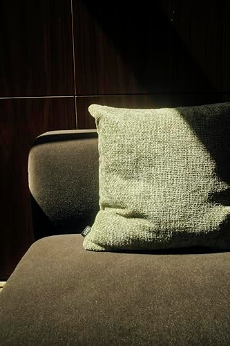 LiteOut Monika Plush 20x20 Pillows - Set of 2 with Down Fill - Sage New