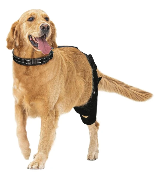 CAMRIER DOG KNEE BRACE FOR SUPPORT CRUCIATE LIGAMENT INJURY JOINT PAIN - BLACK