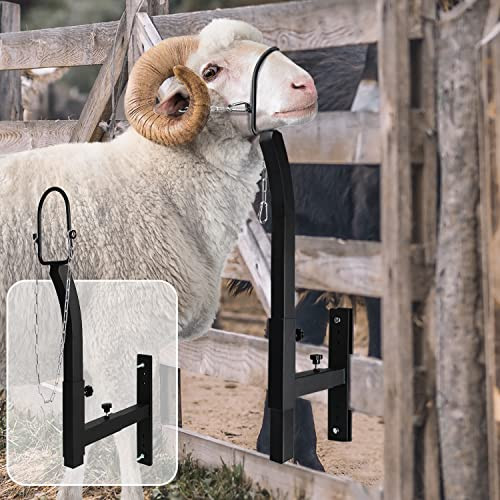 BEAUCOM Livestock Trimming Steel Sheep Goat Stanchion Stand - Black/White
