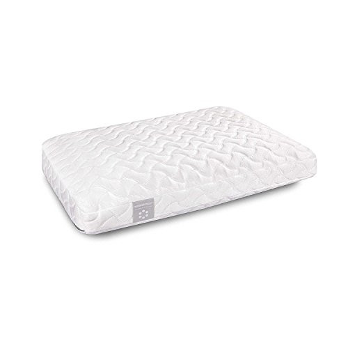 TEMPUR-Cloud Pillow New