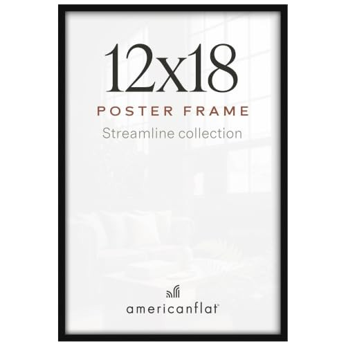 Americanflat 12x18 Poster Frame Slim Molding Black New