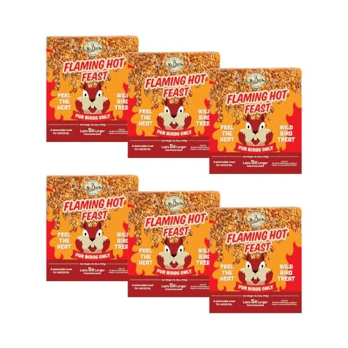 Mr. Bird Flaming Hot Feast Spicy Bird Seed Cake, 6-Pack, 1 lb 9 oz New