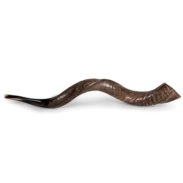 HALLELUYAH 22"-24" YEMENITE KUDU SHOFAR - NATURAL New