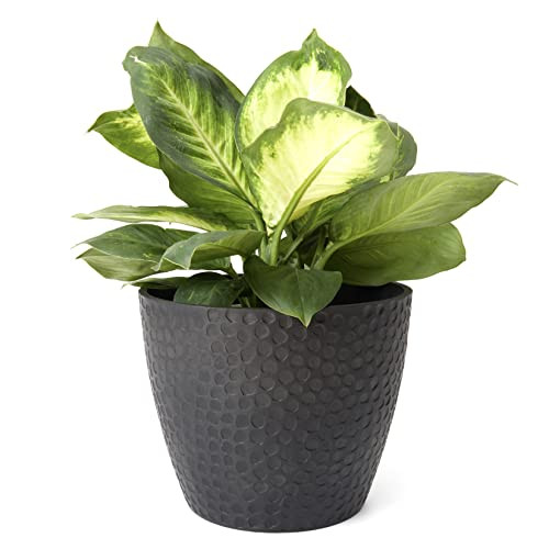 La Jolie Muse Outdoor Indoor Planters Flower Pots, 9.4 Inch, B089D4GN92 - Black New