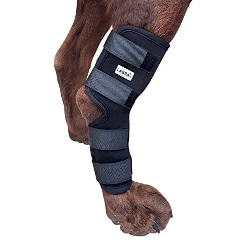 Labra Dog Rear Leg Hock Joint Compression Wrap Supportive Brace - Medium New