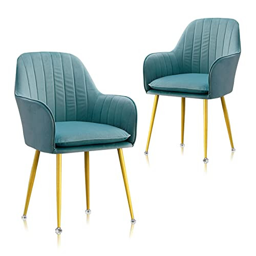 Gnyonat Chair Arm Chairs Mid-Century Leisures (2, B0BKVKNB52, Lake Blue)