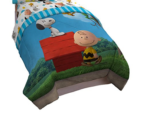 Peanuts Charlie Brown Sunny Day Twin Comforter Reversible B015OWGT4Y New