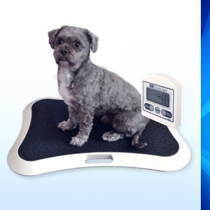 SRV411i Small Animal Floor Scale SRV411i Small Animal Floor Scale