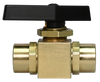 362BV Series, Brass Two-Way Female Pipe Thread Instrumentation Ball Valve