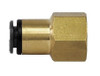 DOT Composite Push to Connect Female Connector Fitting