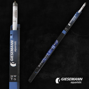 Giesemann T5 Actinic Blue Lamps Giesemann T5 Actinic Blue Lamps