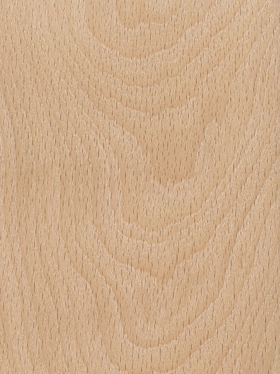 Soft Maple
