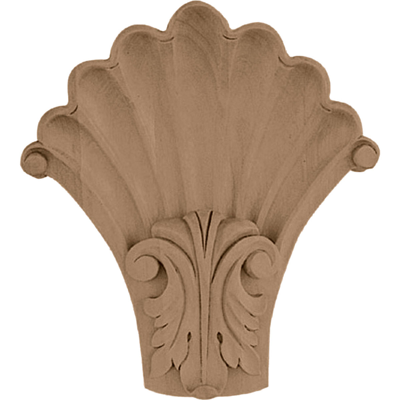 Acanthus in Shell Corbel (COR05X01X06SH)