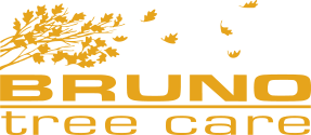 logo-bruno.png