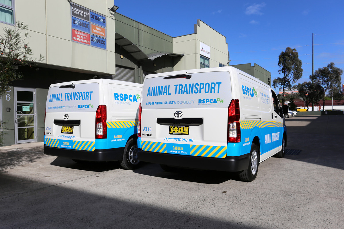 One Way Vision - Rear Window - Van - Trixle Group Pty Ltd