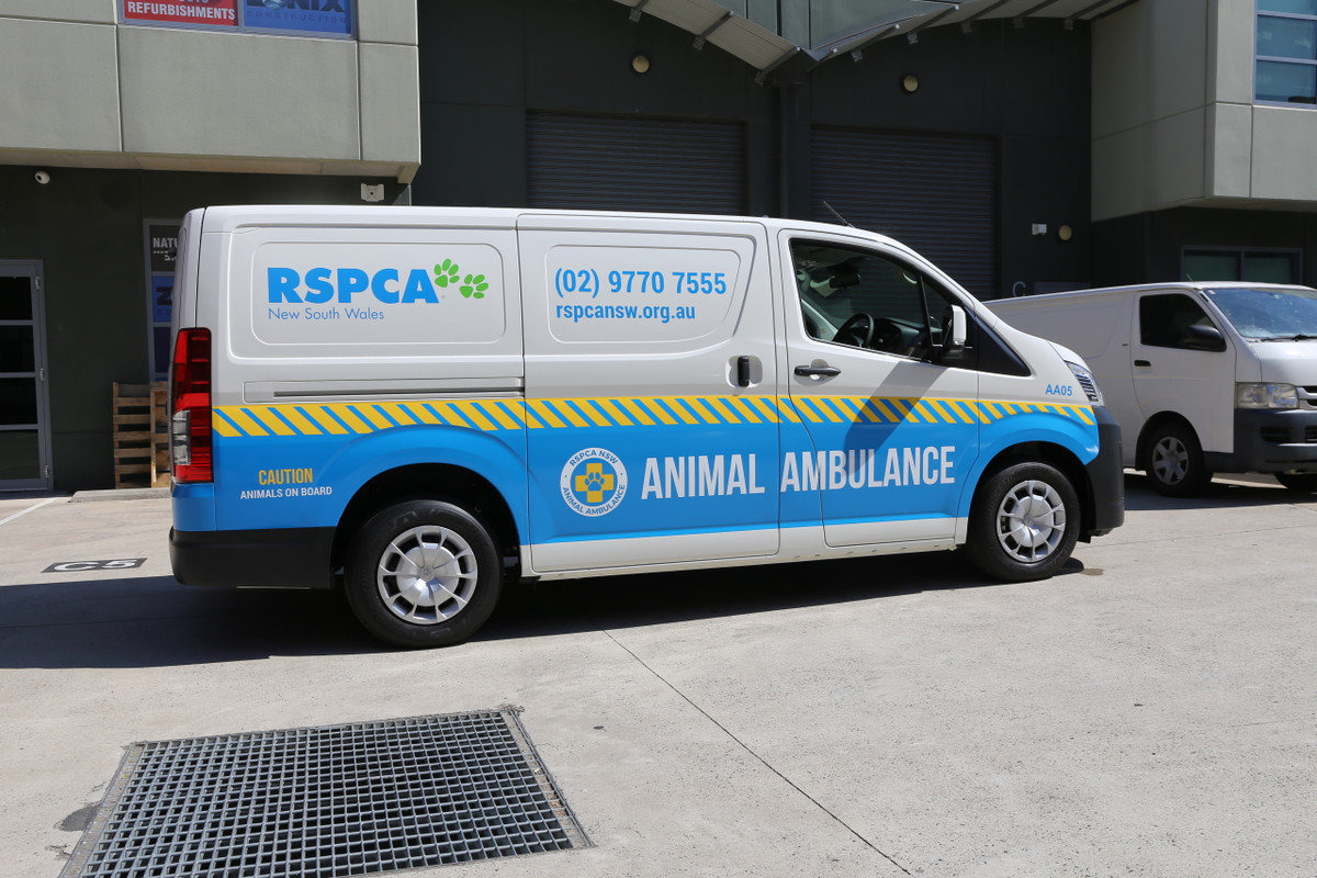 Vehicle Wrap - Van Standard 1/2 Wrap - Trixle Group Pty Ltd
