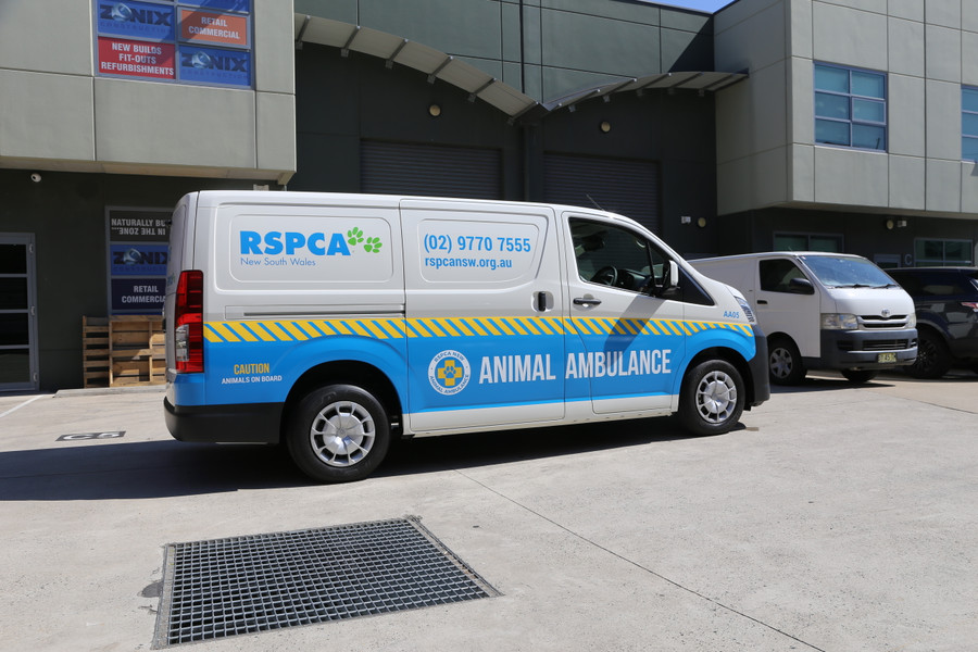 Toyota Hiace LWB Graphics RSPCA