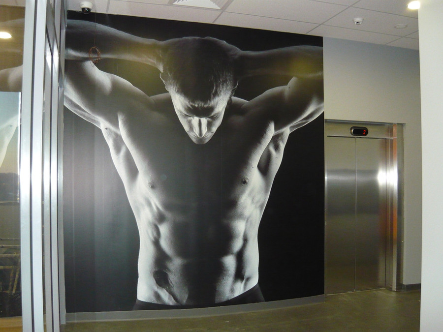 FitnessStudio Standard Wall Graphics with Matte Laminate