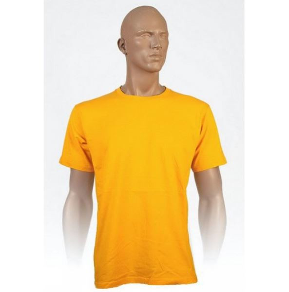 Kids Surf T-Shirt
(Gold)