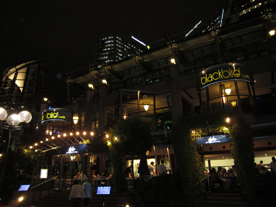 Blackbird Shop Front Signage