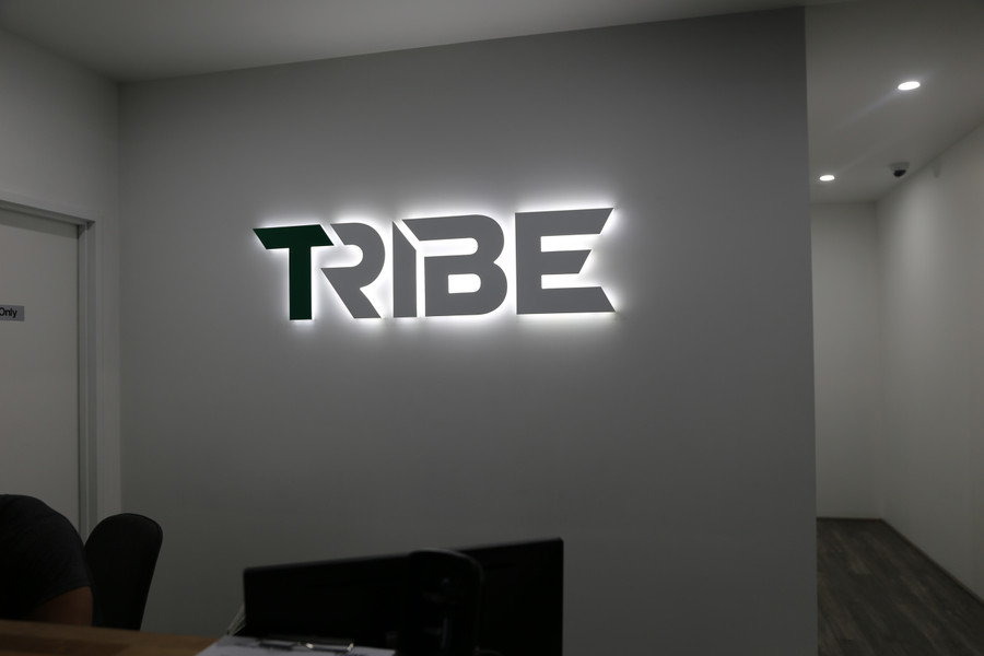 Tribe LED Side Lit Reception Sing