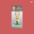 Bruce Grobbelaar Southampton PL37 Card