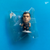 Mark Viduka Newcastle United MC11173 Packet