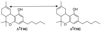 What is Delta 8 THC?