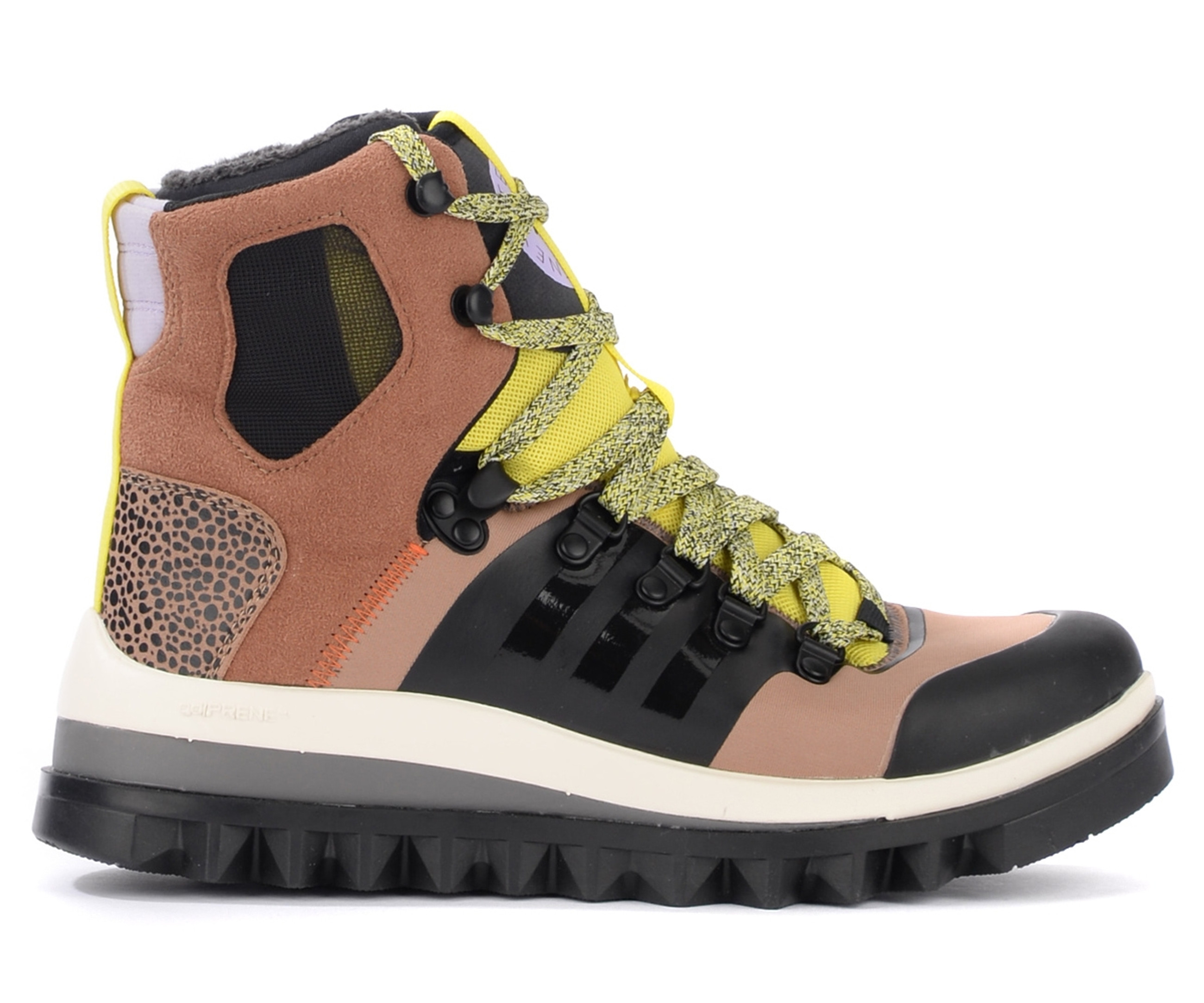 eulampis boot camel 1