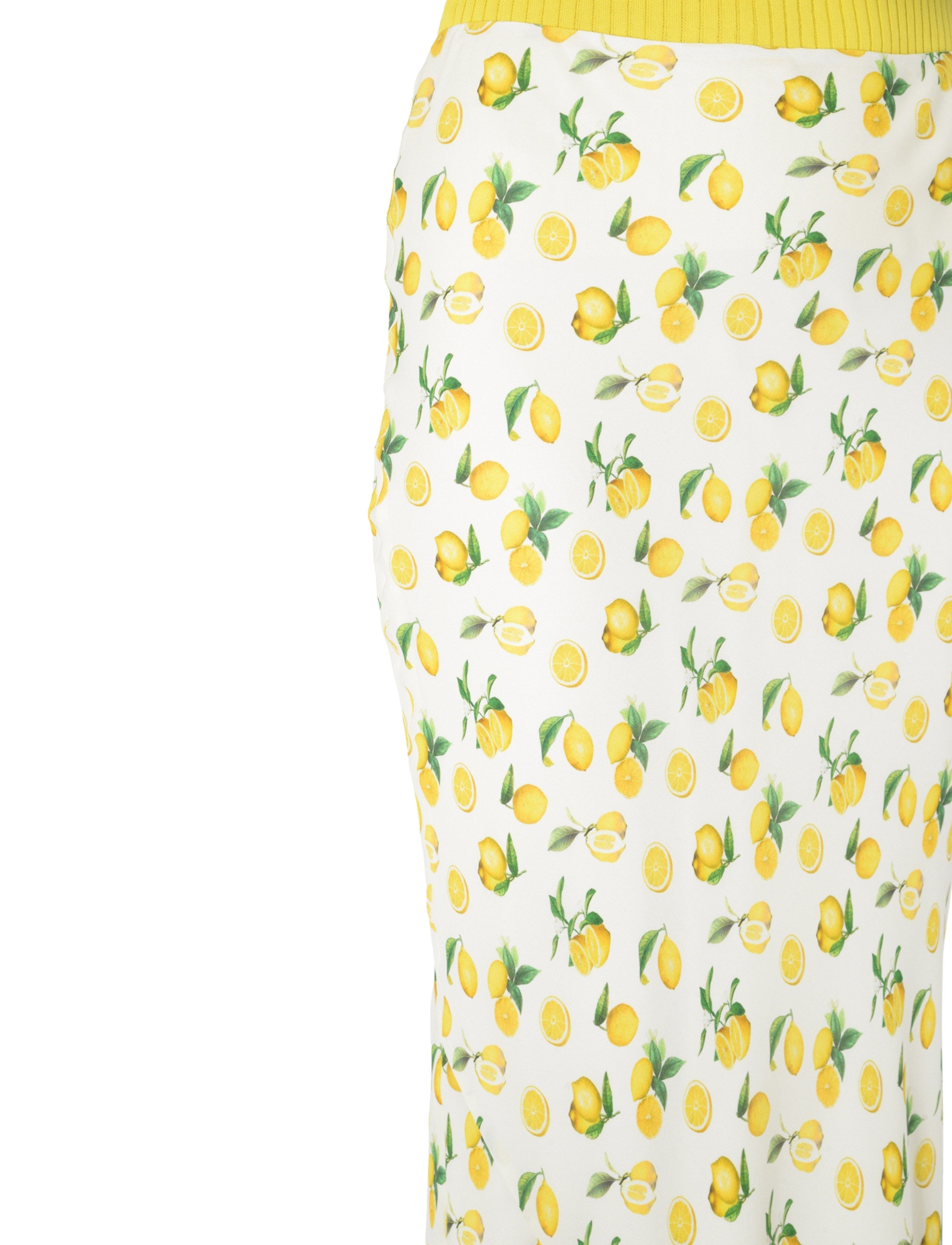 スカート SPORTMAX Printed Nylon Blend Gestro Skirt Sportmax Printed Nylon Blend Gestro Skirt In Multi | ModeSens