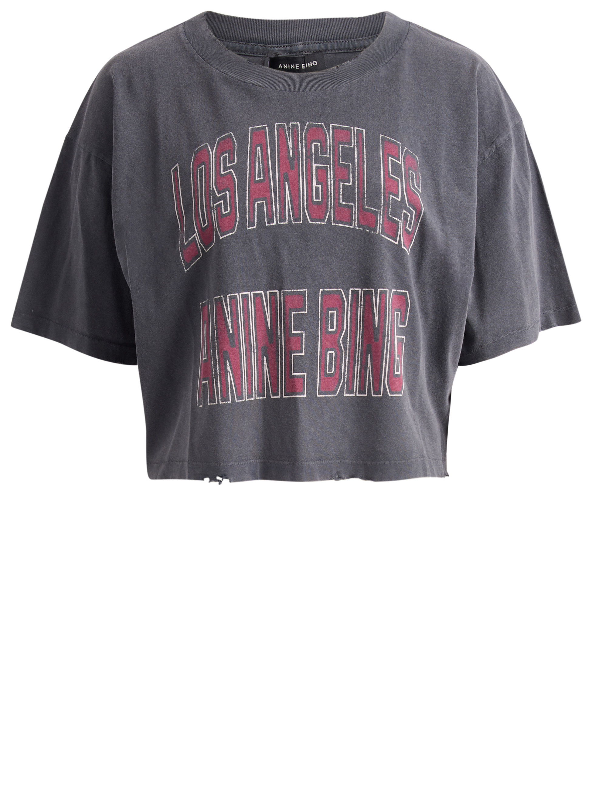 T-Shirt Anine Bing aus gewaschenem schwarzem Jersey