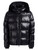 chaqueta de reyes sh 1