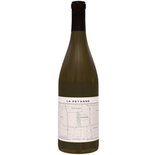 2022 Saumur Blanc "La Peyanne" - Domaine Theo Blet