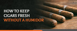 How to Keep Cigars Fresh Without a Humidor