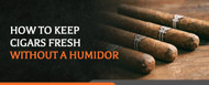 How to Keep Cigars Fresh Without a Humidor