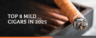 Top 8 Mild Cigars in 2025