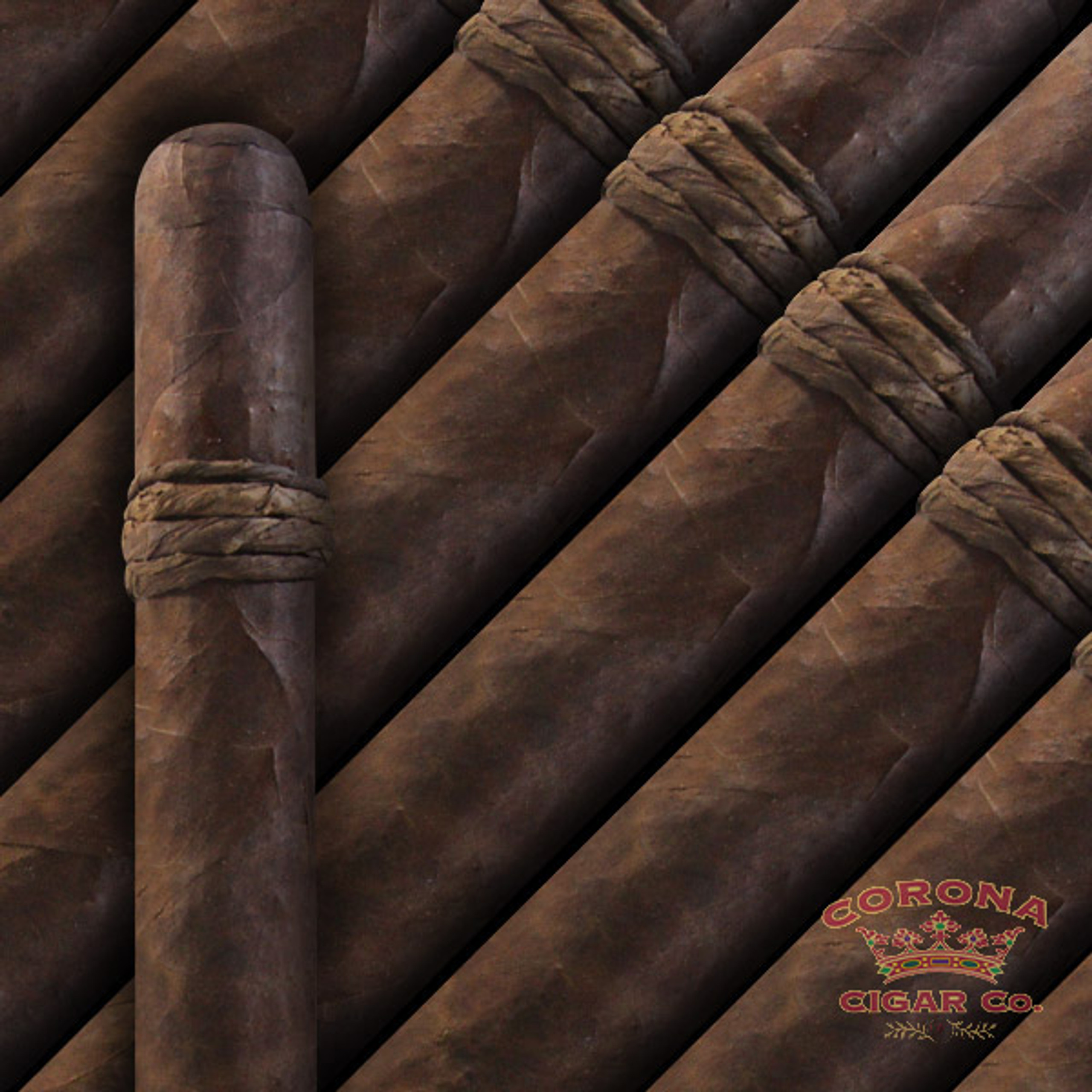 CAO Amazon Basin 2025 Toro