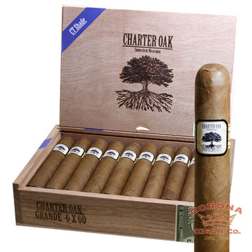 Charter Oak Connecticut Shade Grande (6 x 60)