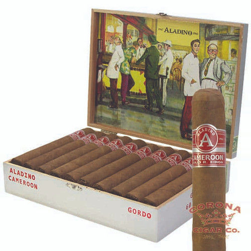 Aladino Cameroon Gordo (6 1/2 x 60)
