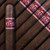 Corona Intensa FSG Tabacon (6 1/2 x 60)